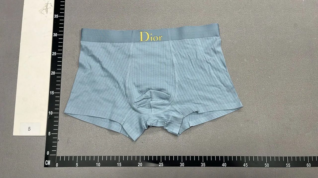 Dior Underwear — QC reference 4