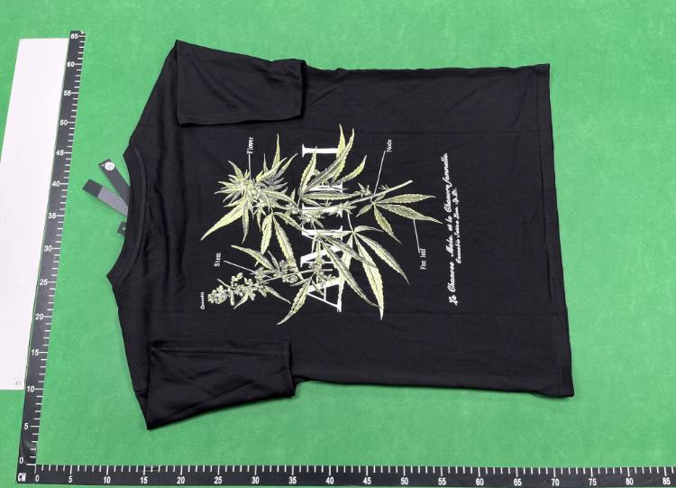 Amiri T-shirt (40 CP) — QC reference 2