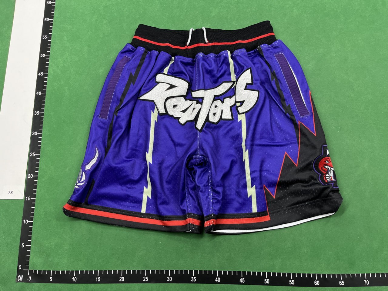Raptors Shorts — QC reference 2