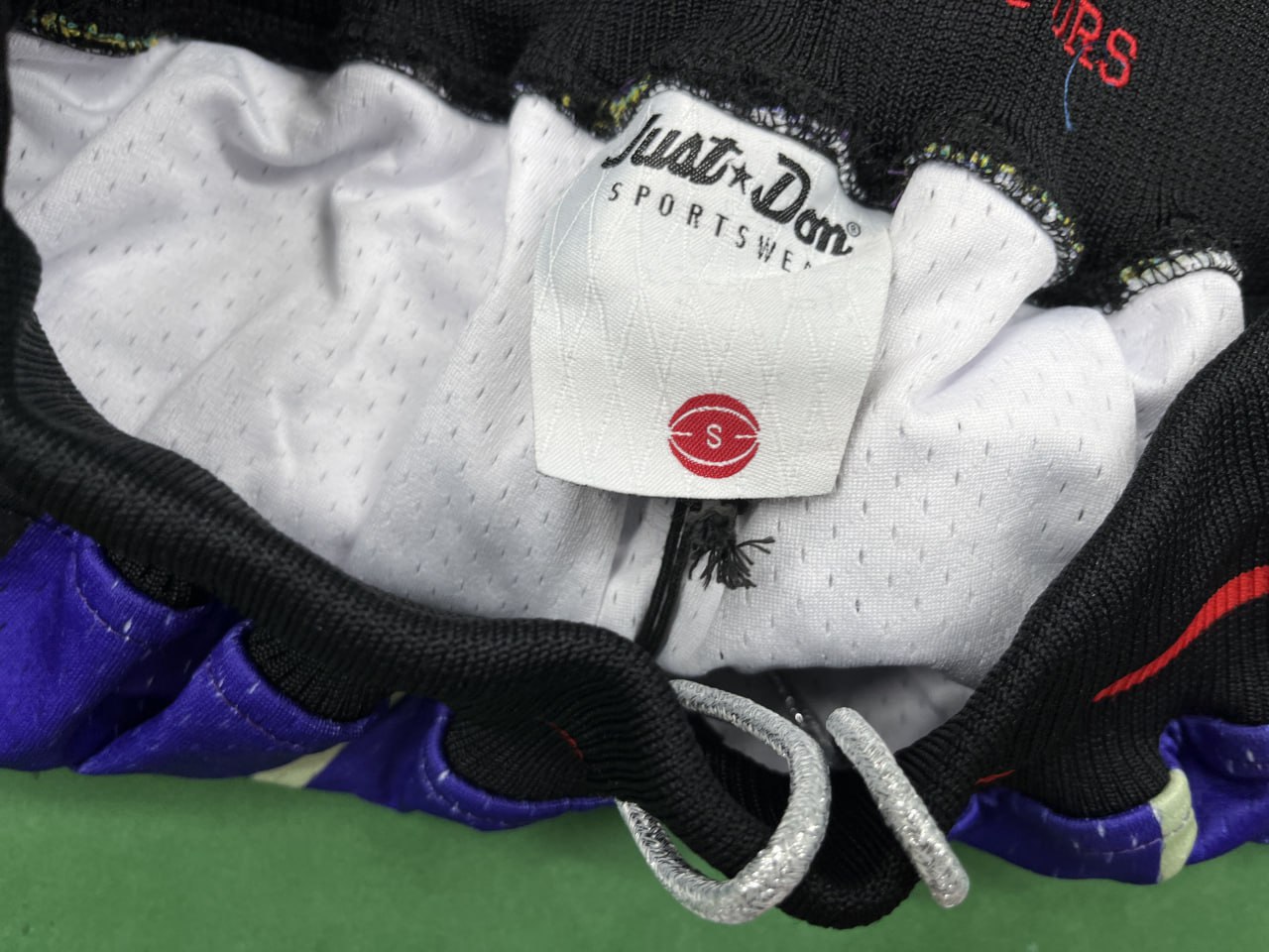 Raptors Shorts — QC reference 4