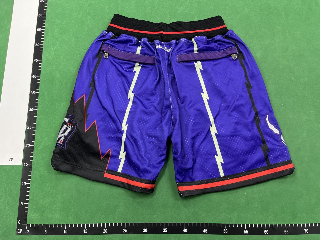Raptors Shorts — QC reference 3