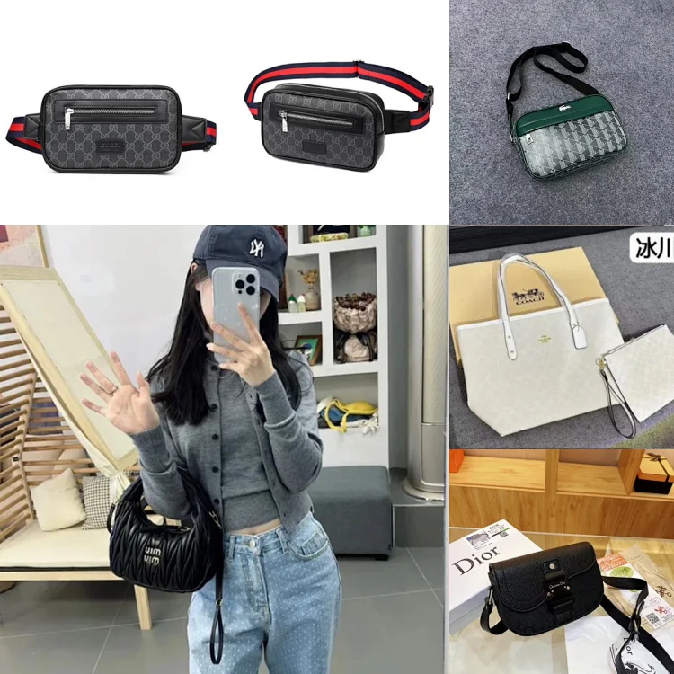 Gucci Dior Coach Miumiu Bag