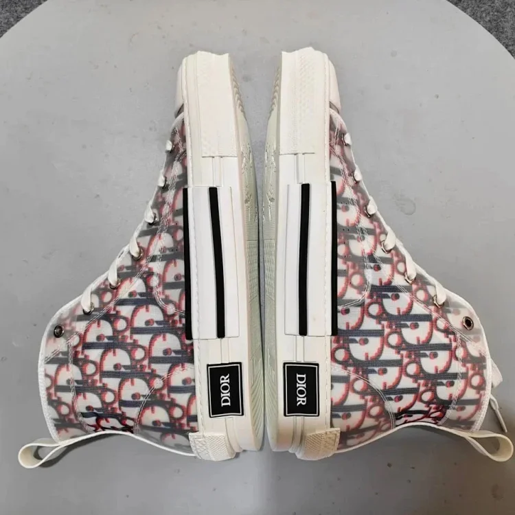 DIOR B23