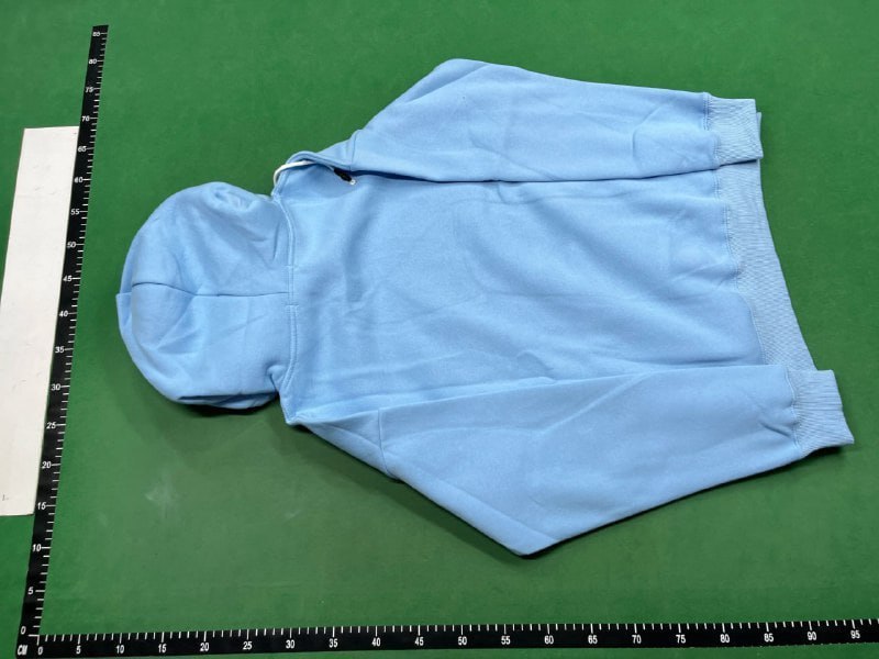 Plam Angles Hoodie — QC reference 4