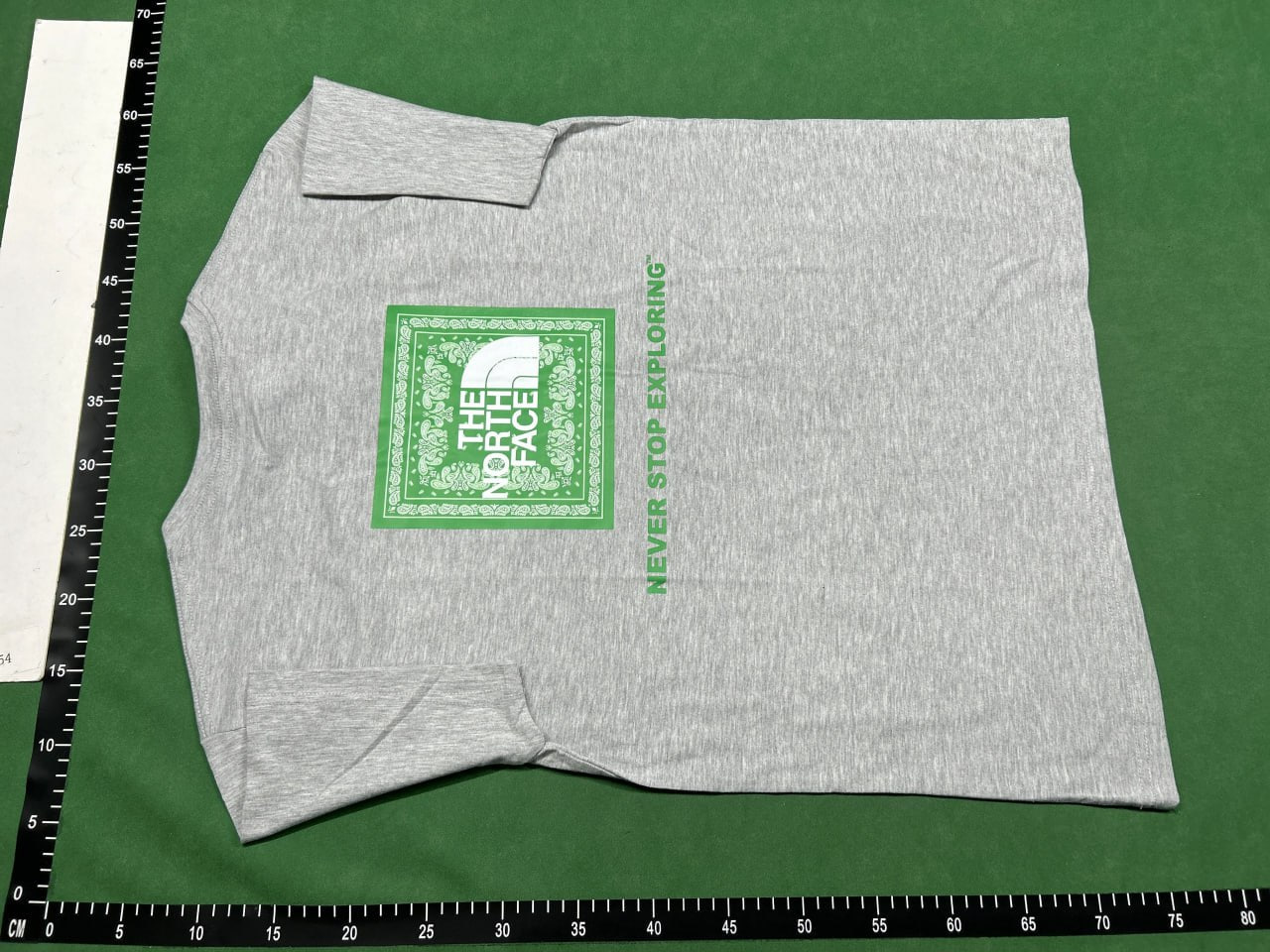 The North face T-shirt — QC reference 3