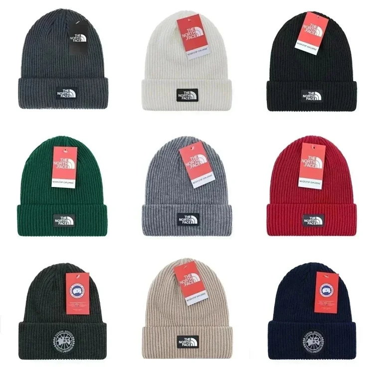 THE NORTH FACE knitted hat (various sty