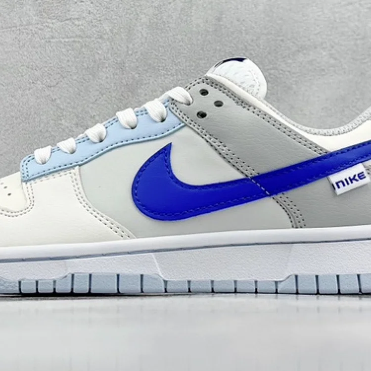 Nike Dunk shoe series