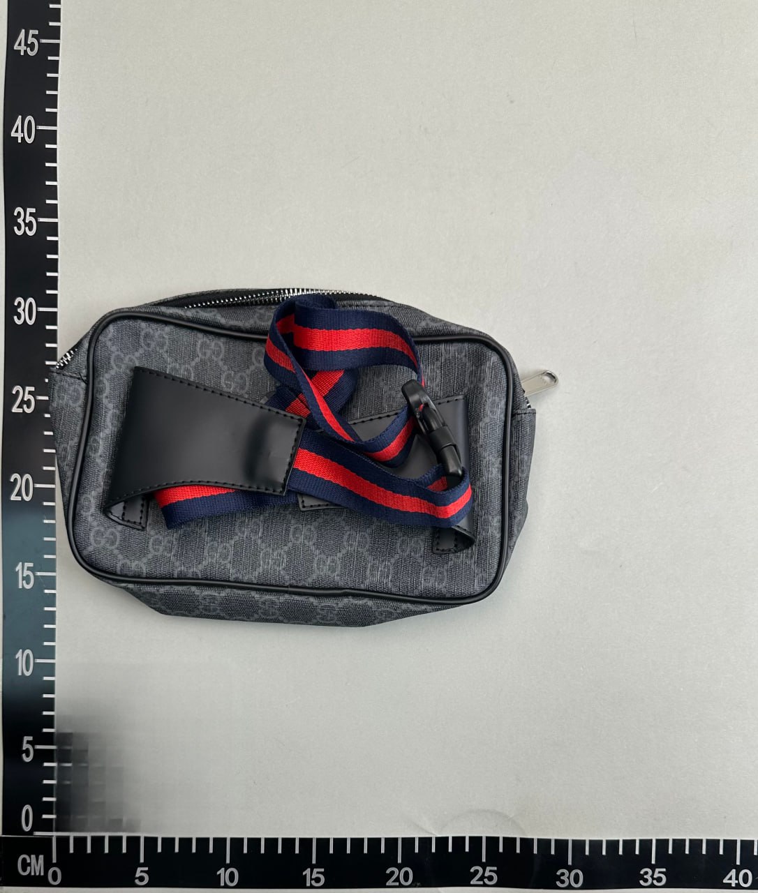 Gucci Bag — QC reference 4