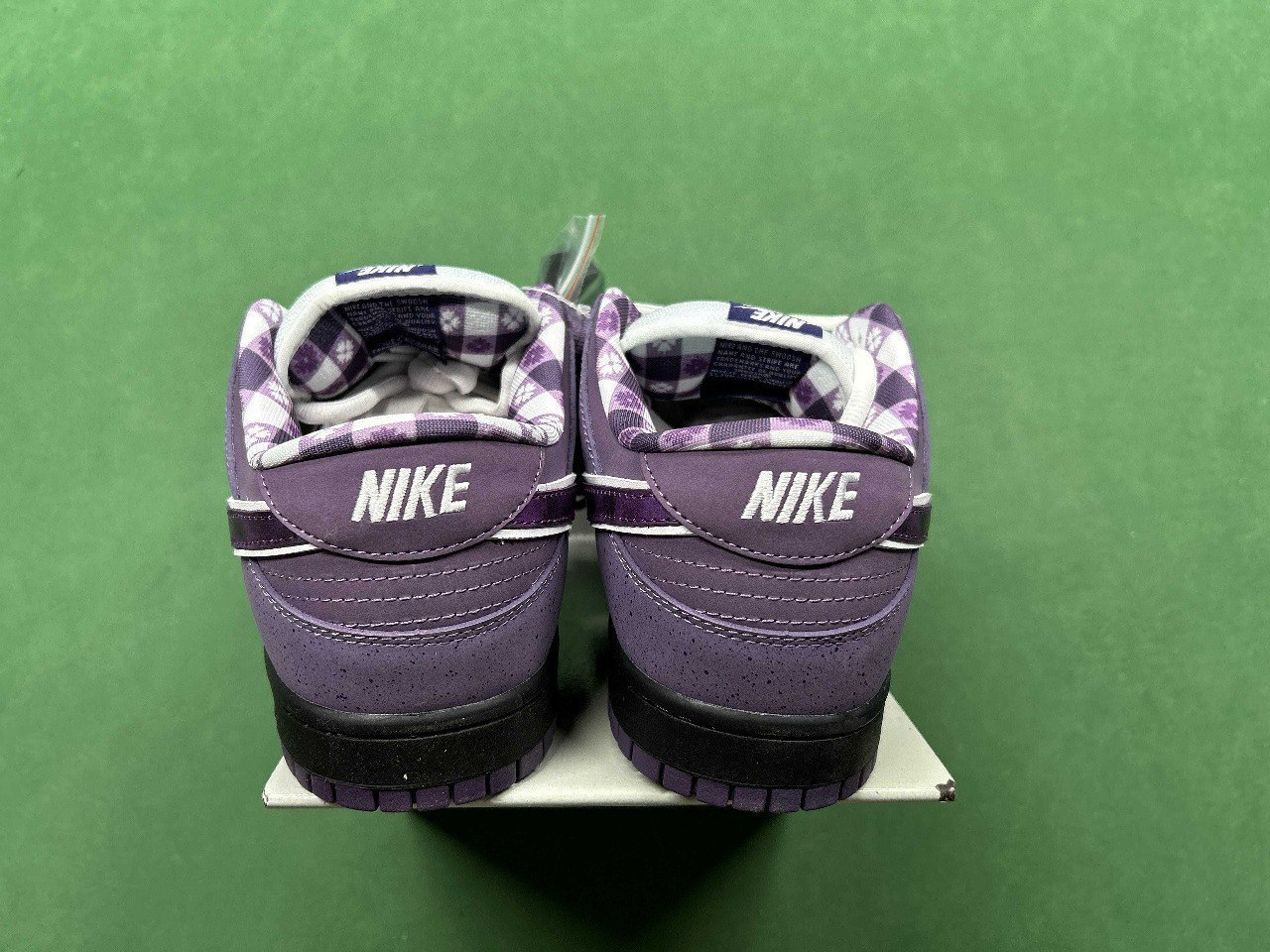 CONCEPTS x Nike Dunk SB — QC reference 3