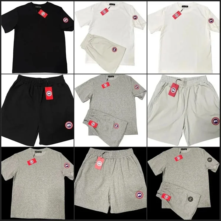 Canadagoose/ESS ESSENTIALS/Stone Island/